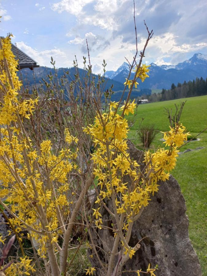 Am Schwand Appartement Grän Buitenkant foto